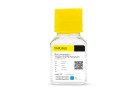 Recombinant Trypsin EDTA Solution