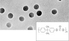 Polycarbonate Track-Etched Filters with 5 µm pore size