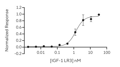 RUO Recombinant Human IGF-1 LR3 Protein