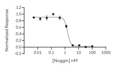 RUO Recombinant Human Noggin Protein