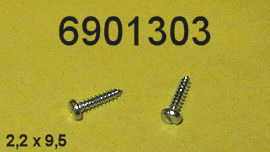 2 plate screws