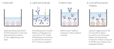 Incucyte® Human Fabfluor-pH Antibody Labeling Dye for Antibody Internalization