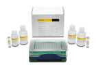 Octet® Protein A (ProA) Detection Kit