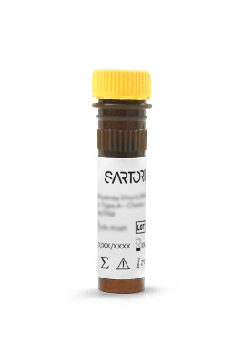 Virotag® AAV2-3 Reagent Kit, 50 Assays