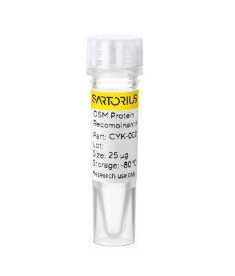 RUO Recombinant Human OSM Protein