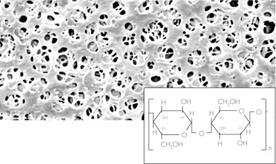 Regenerated Cellulose Membrane Filters / Type 18407, 0.2 µm pore size, 142 mm diameter, 25 pieces per pack