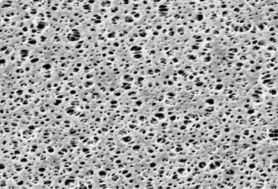 Polyethersulfone Membrane Filters - Type 15407- 0.2 µm pore size- 25 mm diameter- 100 pieces per pack