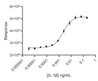 RUO Recombinant Human IL-1 Beta Protein